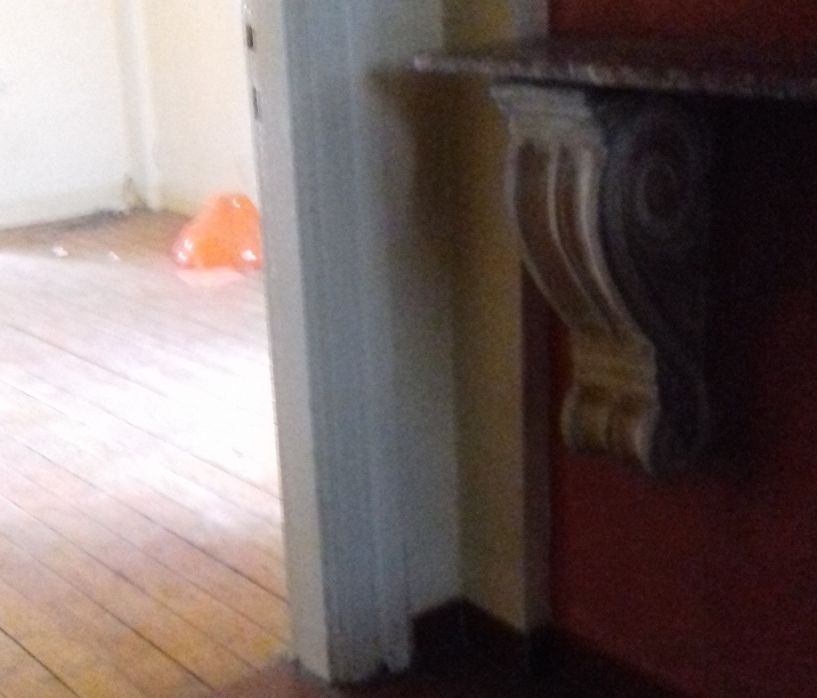 apartment in a preserved building