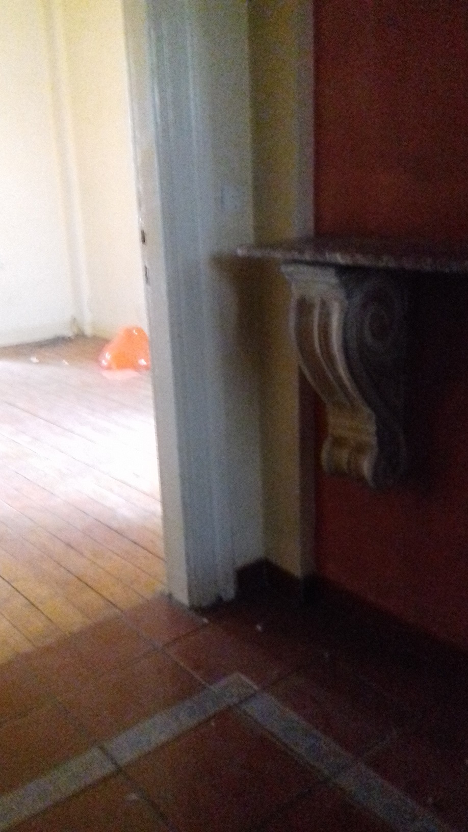 apartment in a preserved building