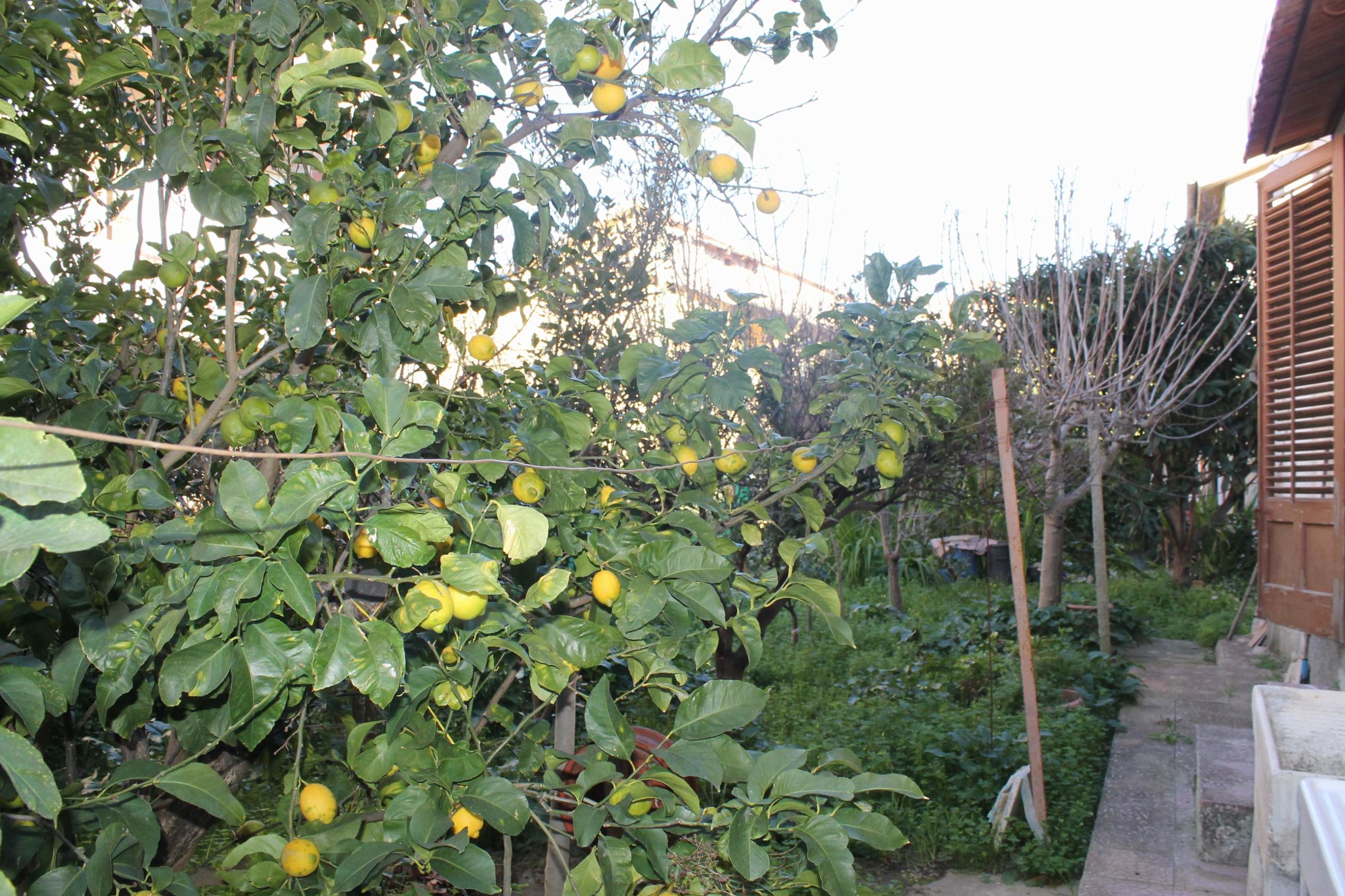 Townhouse in Sicily – D’Angelo Via San Gregorio Magno