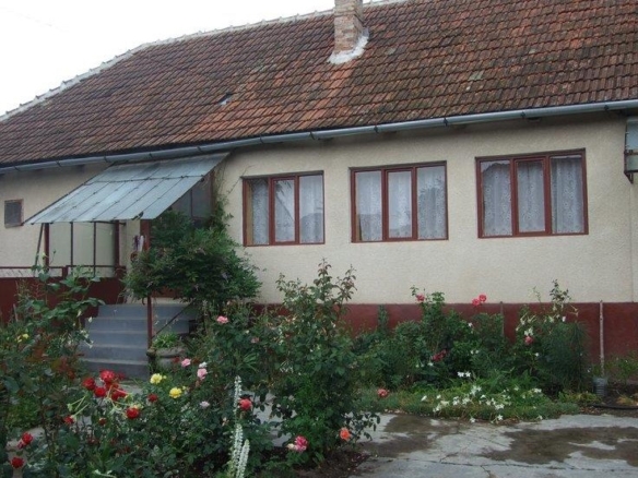 Vand casa la curte + teren 2284 mp – Almas – Arad