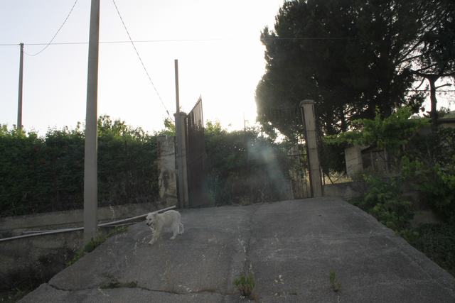 House and land in Sicily – Alfano Cda Passarello