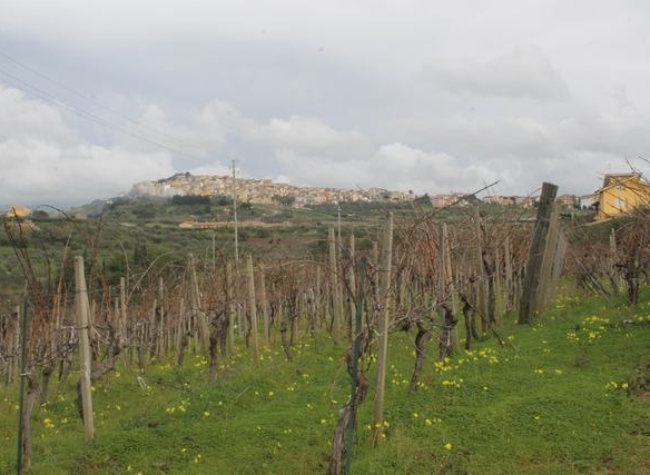 Ruined House and land in Sicily – Barbiera Cda Castellaccio