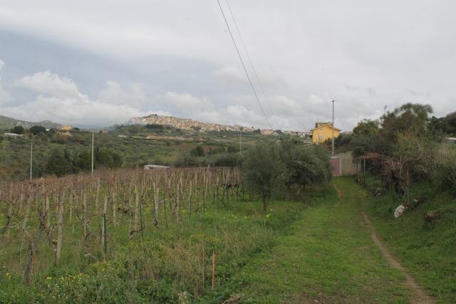 Ruined House and land in Sicily – Barbiera Cda Castellaccio