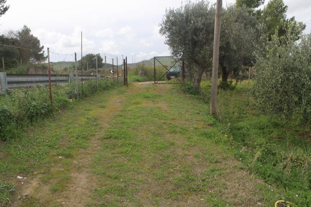 Ruined House and land in Sicily – Barbiera Cda Castellaccio