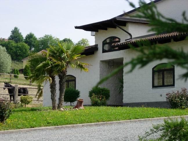 A winery in the province of Piedmont.