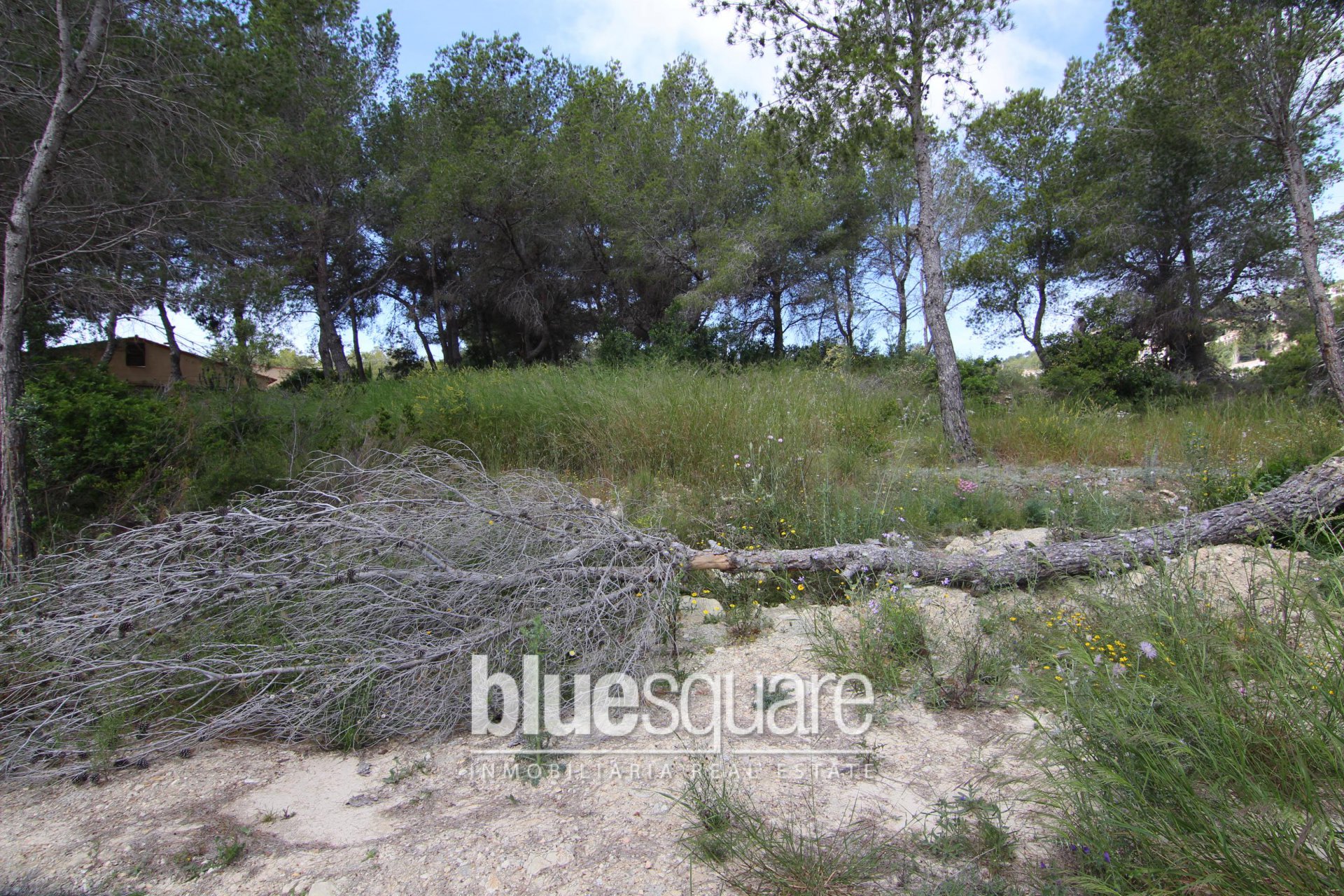 1052956337591431d92e6910.95704855_3a4245d10b_1920