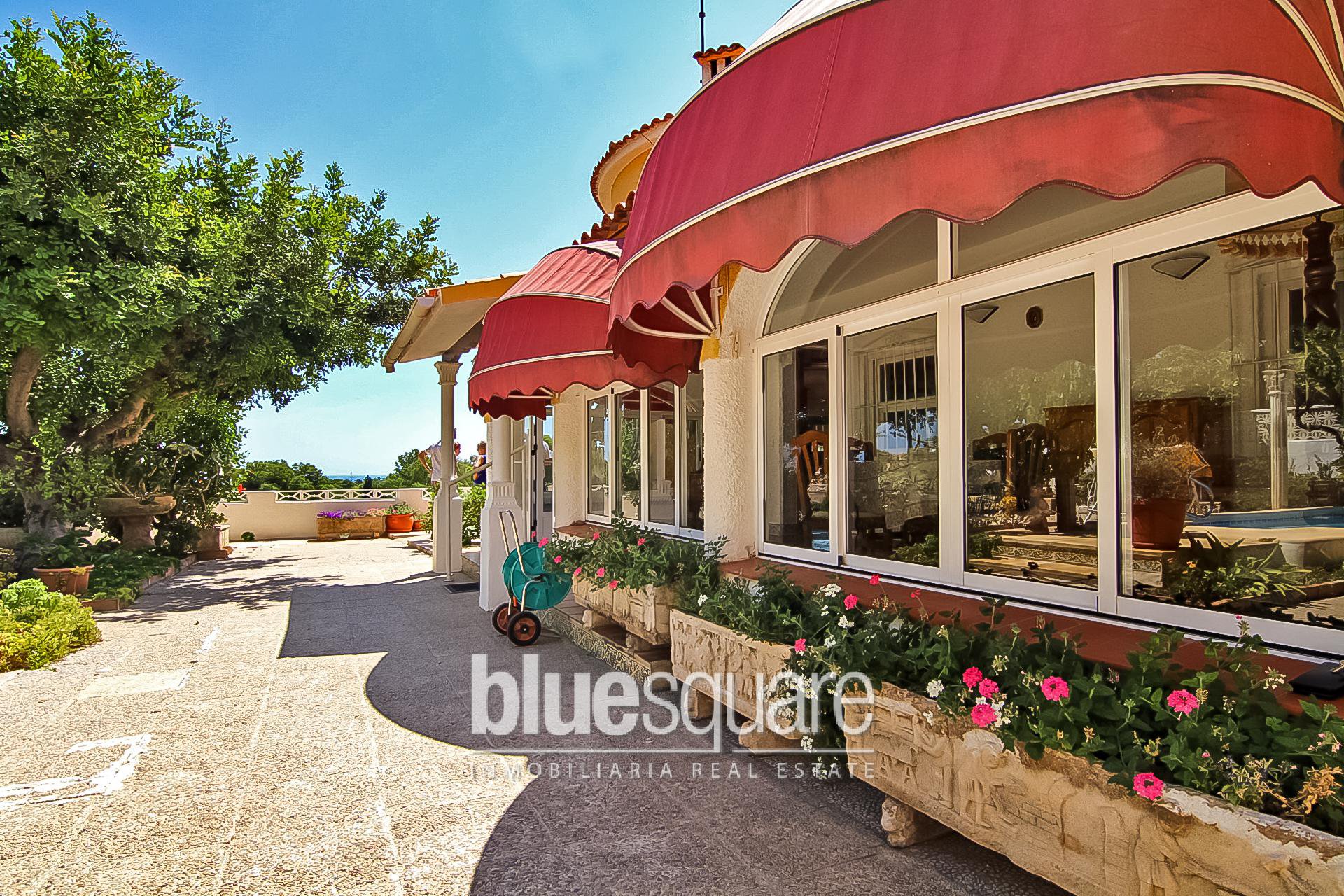 111372811859a03276063cf0.49030845_c540e370f6_1920