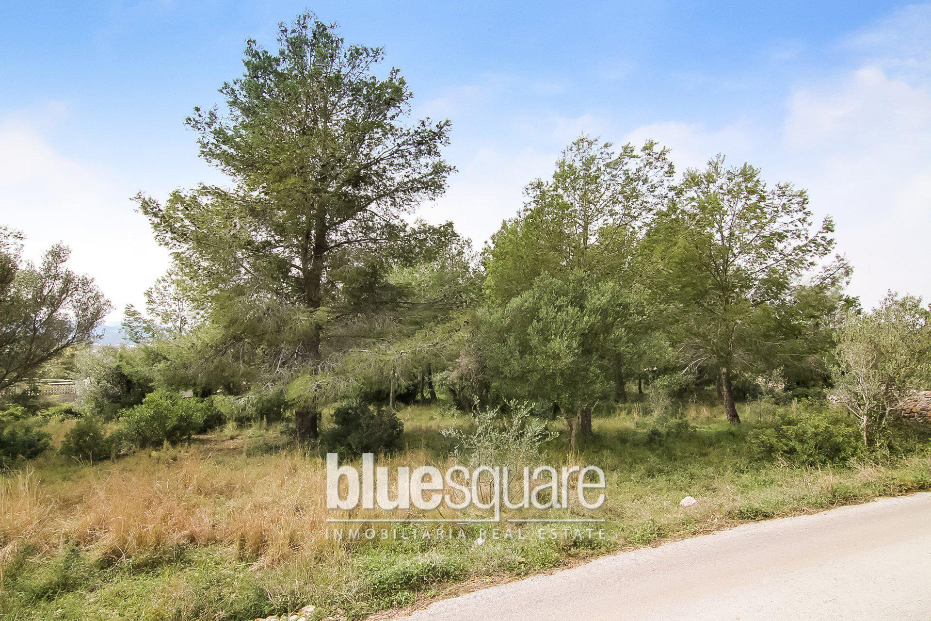 134134619958be7a4255f864.21157692_33b82806ee_1920