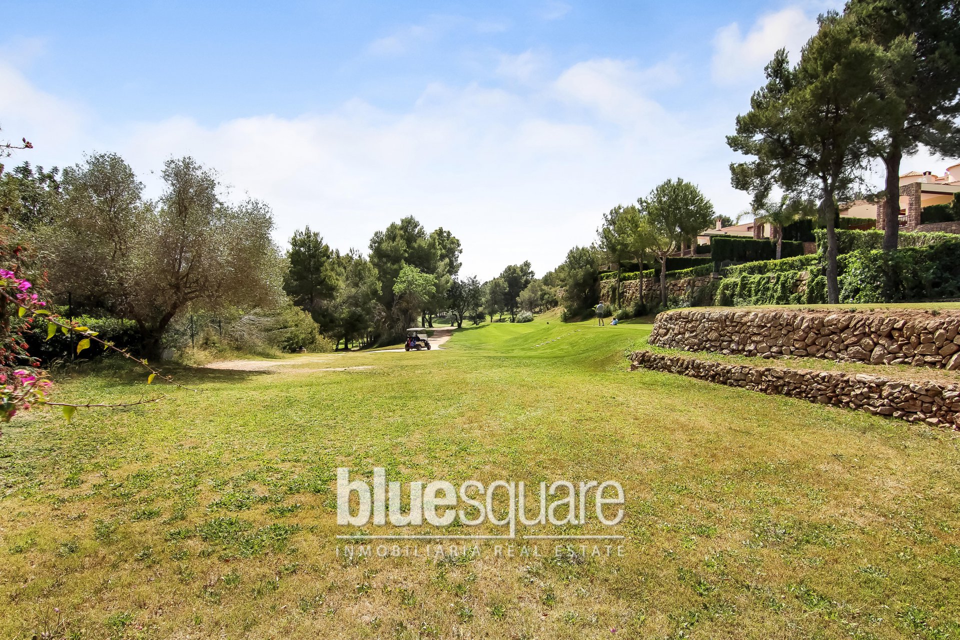 14295473235aeb0c377adea3.10319331_022ff47ced_1920