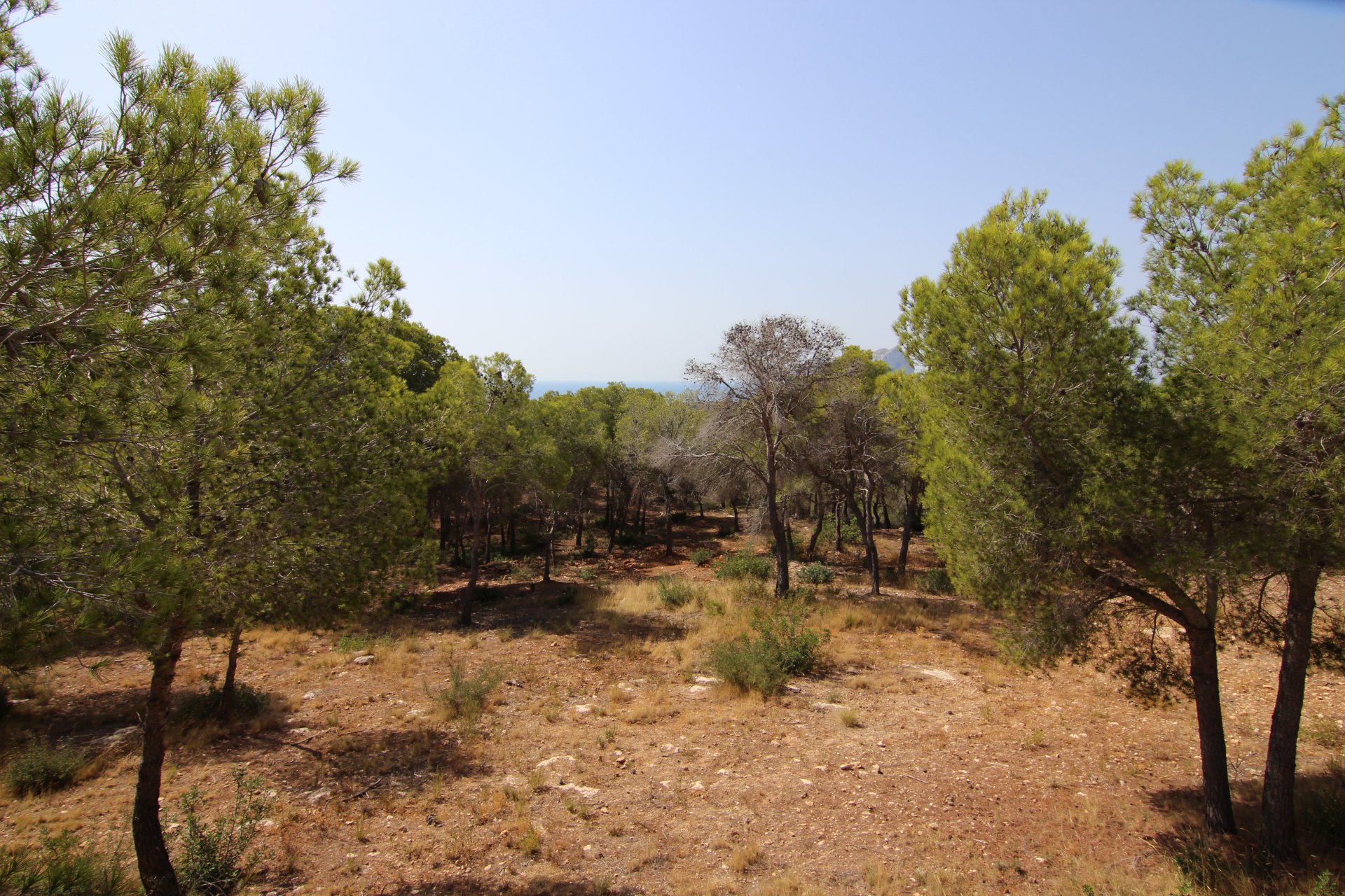 1633528866597f0c44b63787.06994576_1920