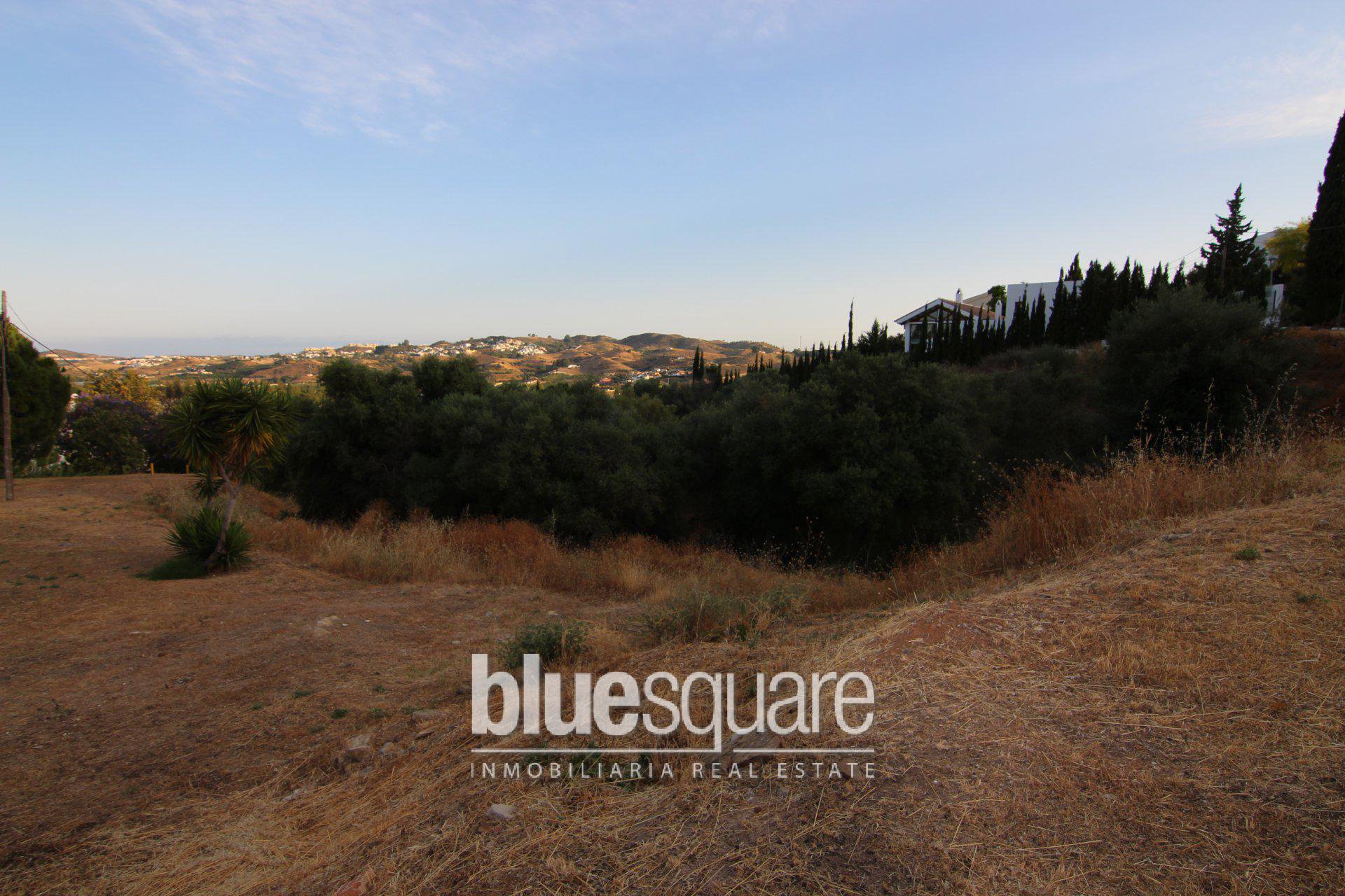 17605834555b47445ce52b50.20089558_c454db4f71_1920