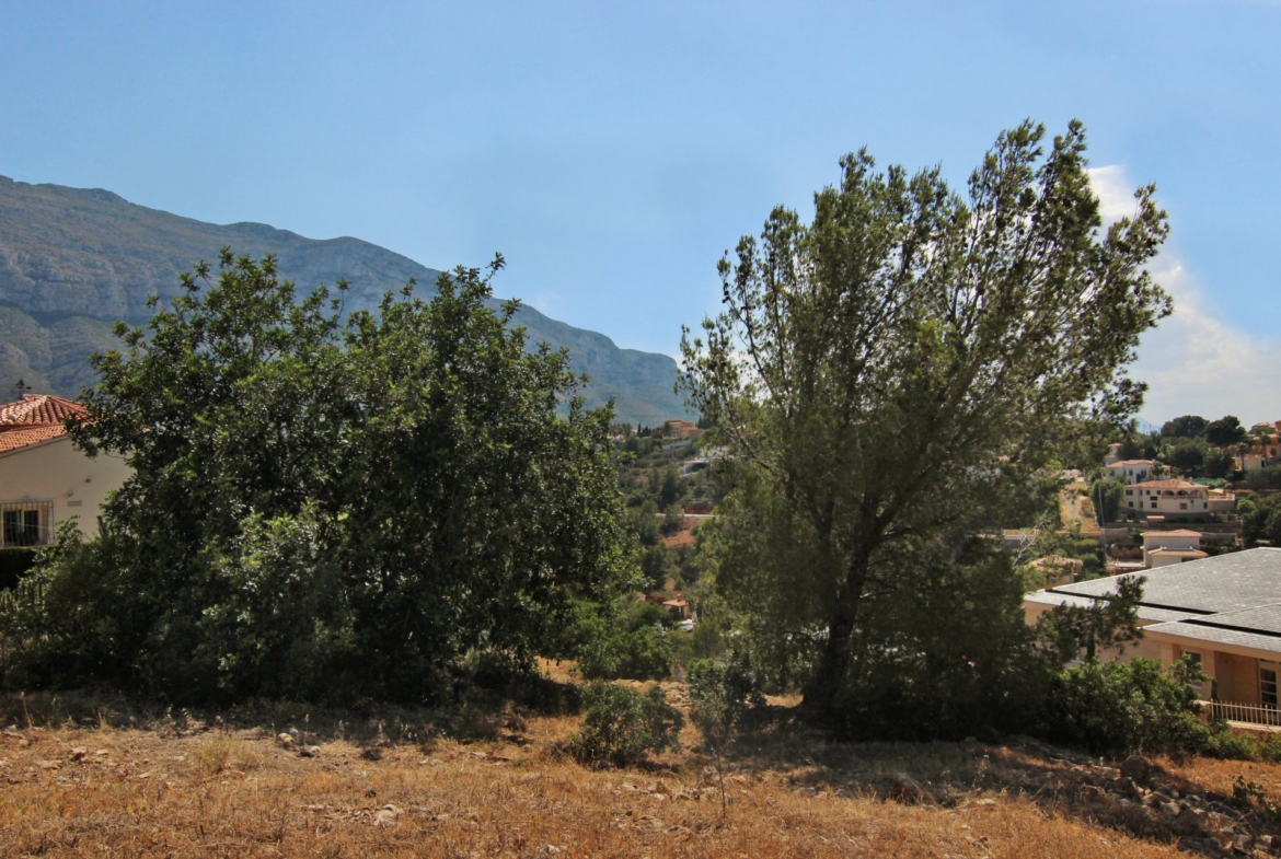 17748-ES-MOR-007535