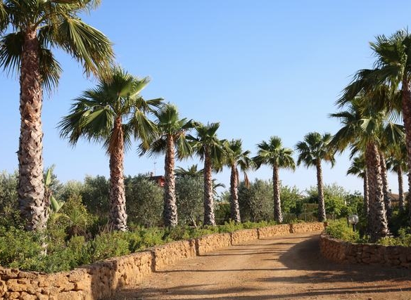 Panoramic Villa and land in Sicily – Villa Cacciatore Favara