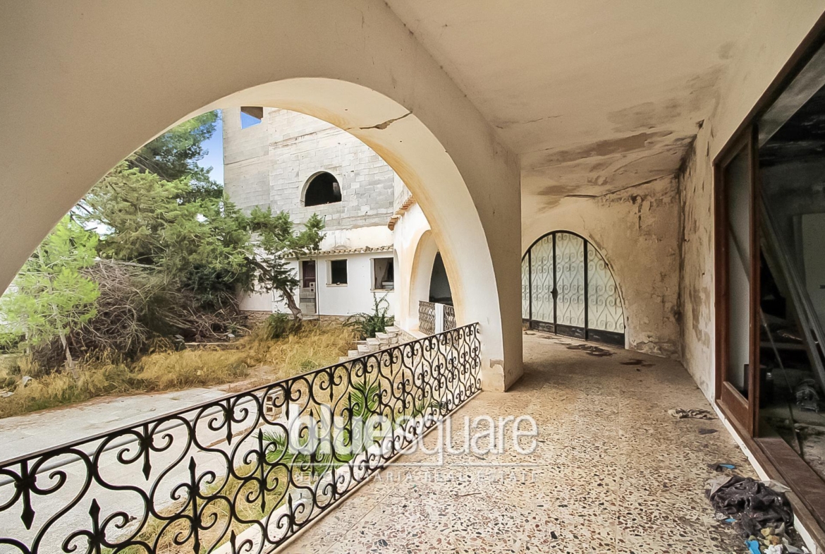 17748-ES-IBI-009003