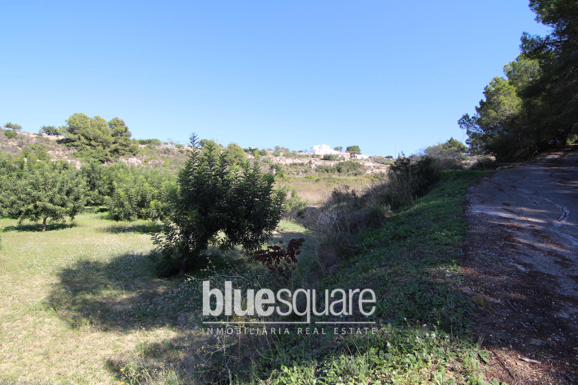 212534547259e08b76024762.78052913_5c5925db76_1920