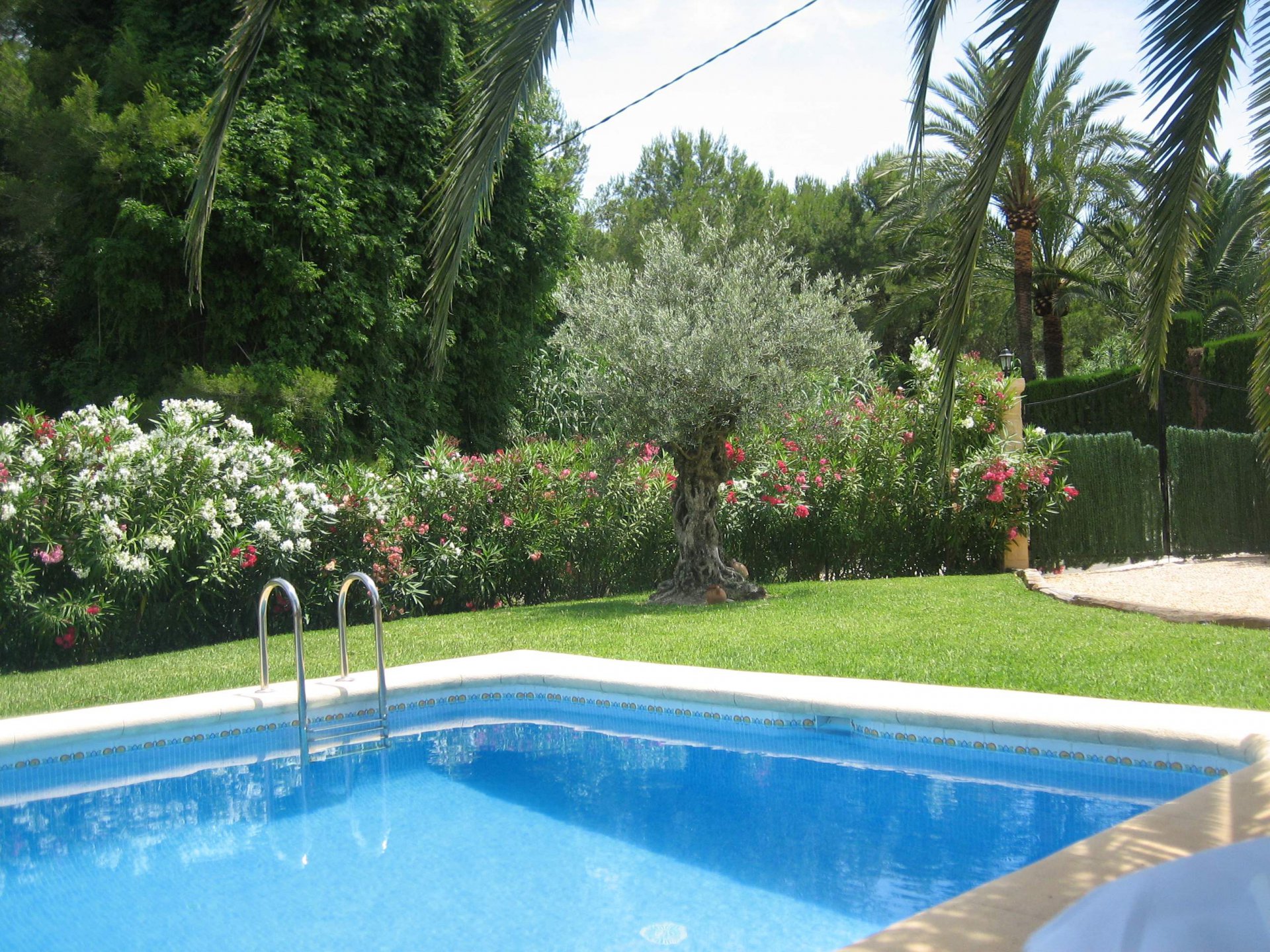 215654696576acf4d718b13.66143217_1920