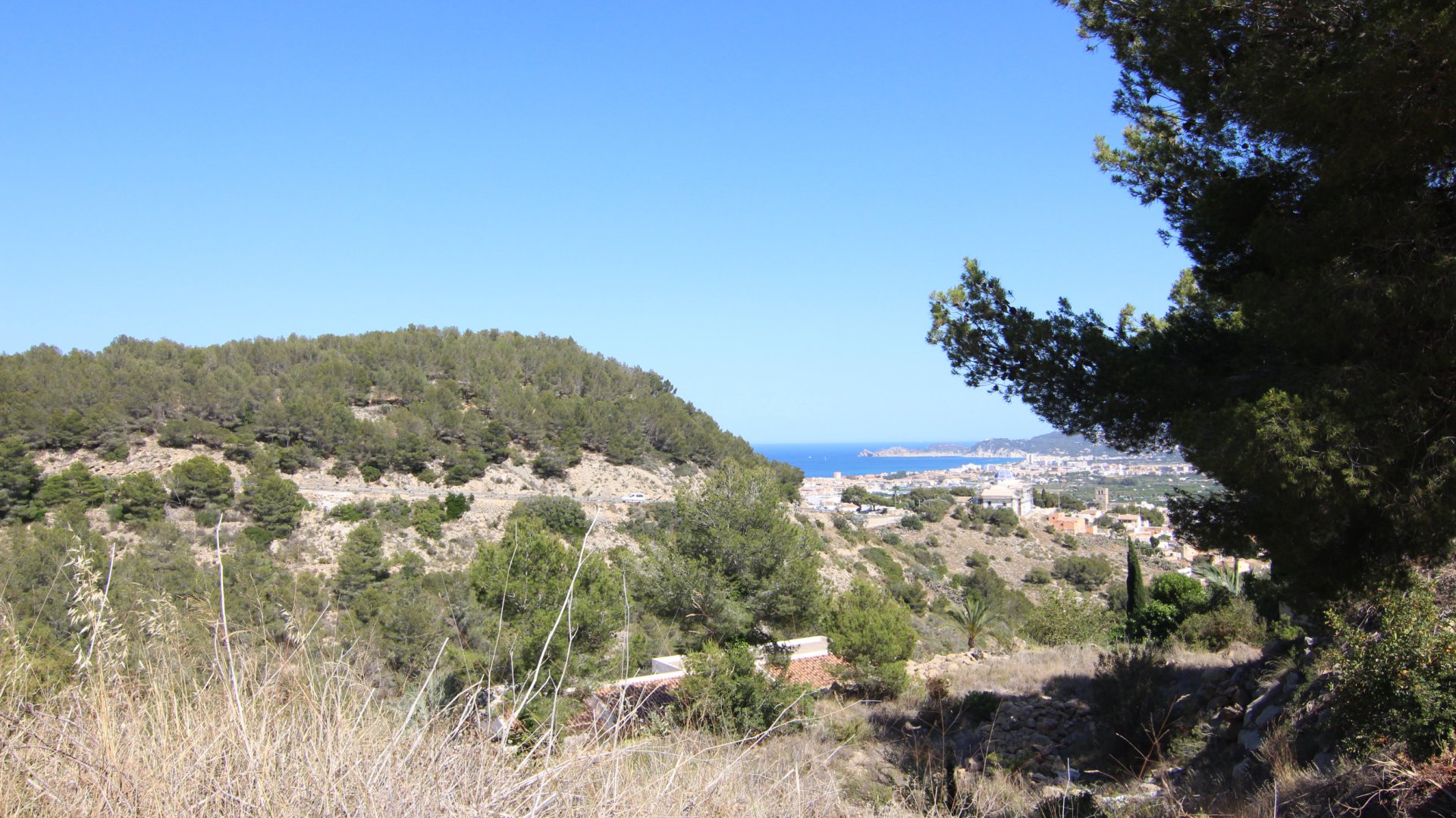 17748-ES-MOR-007531