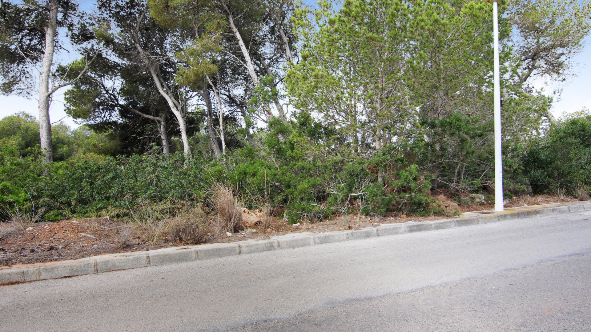 333007217578375309087e6.91154094_1920