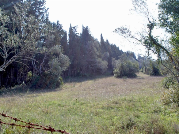 Land in Corfu for Hotel or Villas