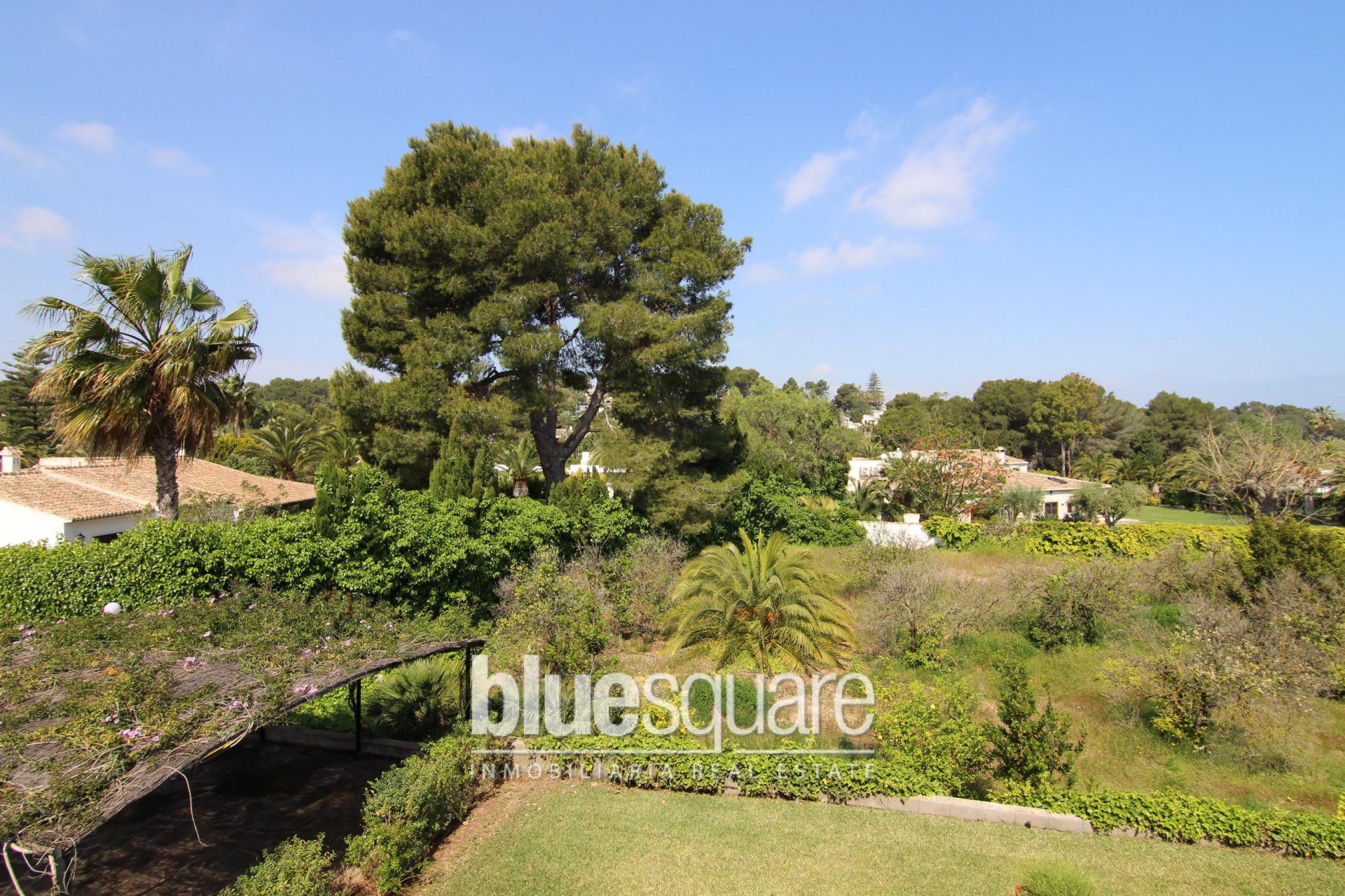 354309704596628b3c24297.66743417_9bd29eddb2_1920