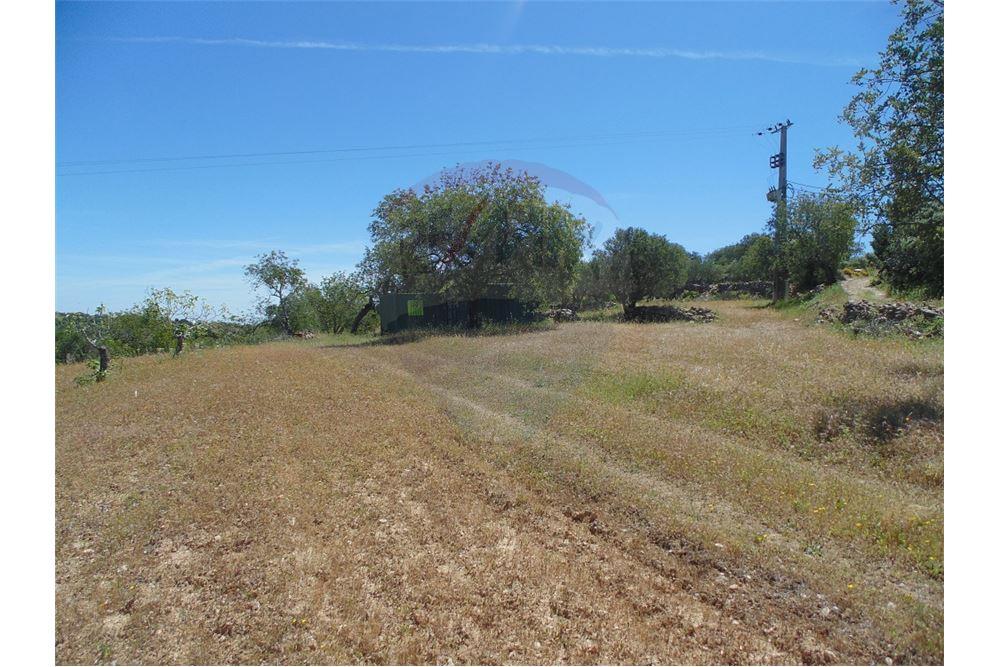 Land with Sea and Hills views