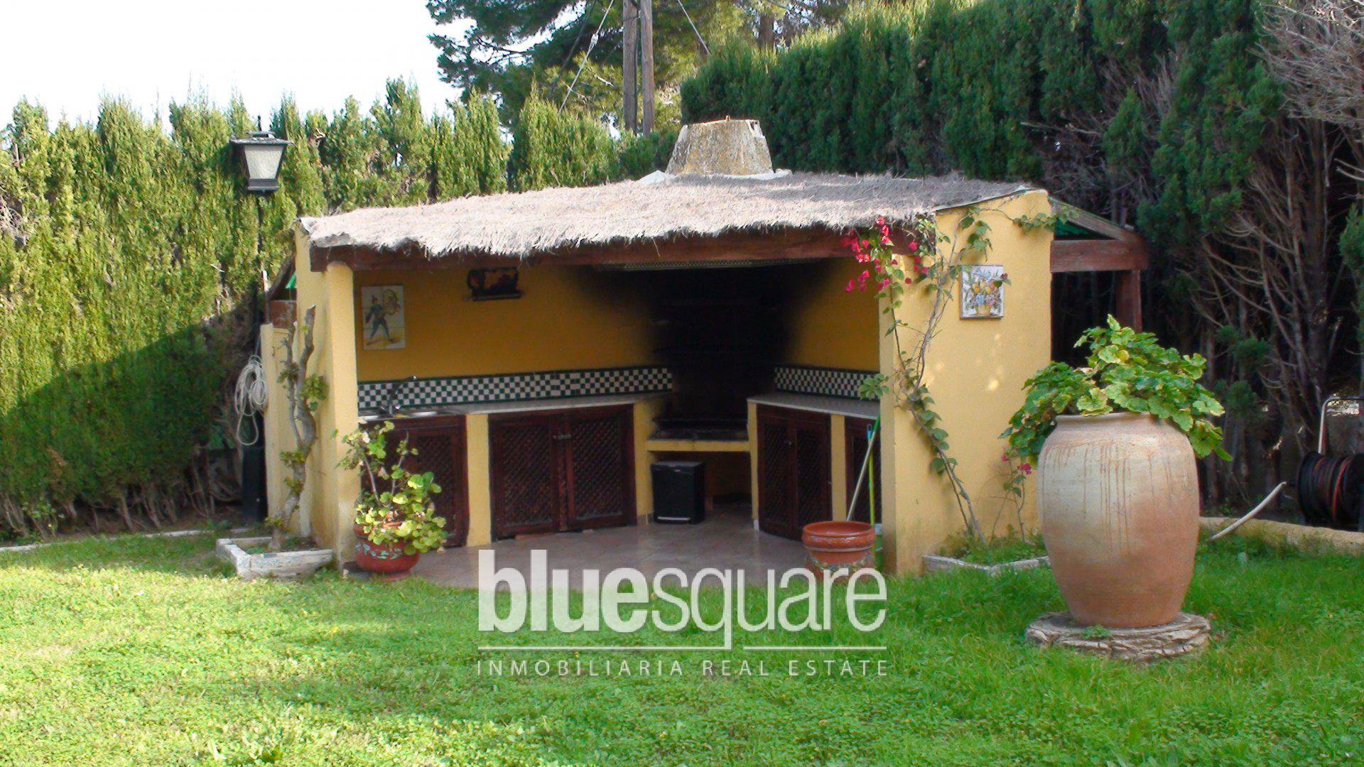 41410798556ad038388c1a0.49945774_6c79d68dbd_1920