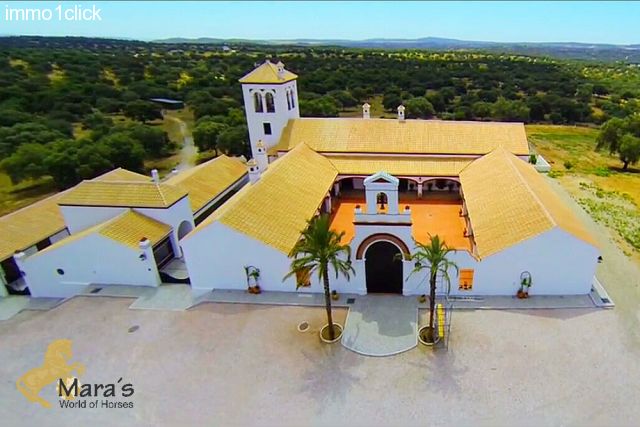 Grandiose country house near Seville