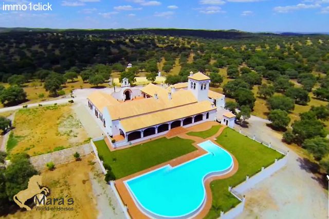 Grandiose country house near Seville