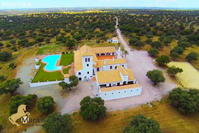 Grandiose country house near Seville
