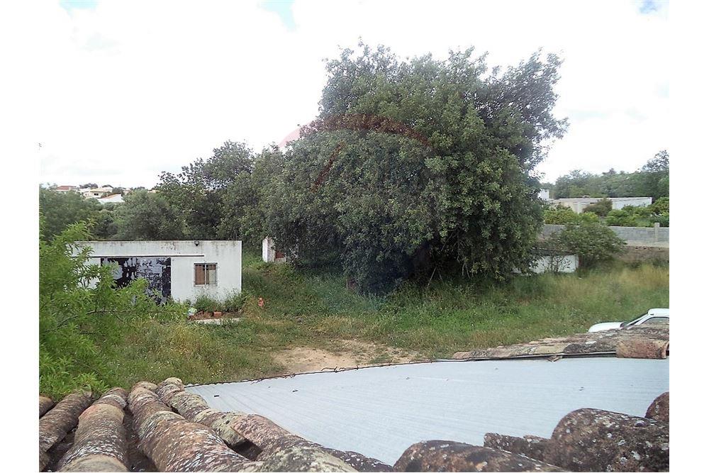 4-Bedroom Villa w/land – Gorjões