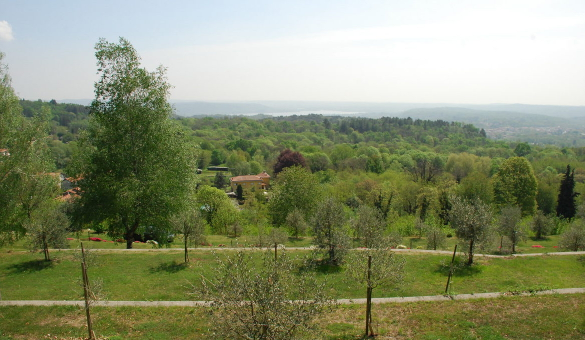 A large estate in Arona.
