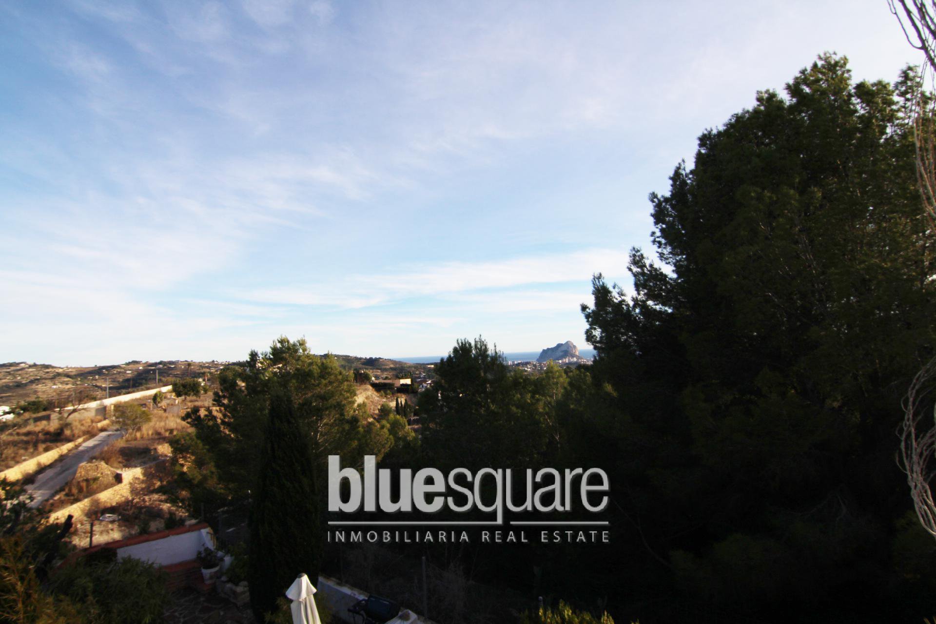 8498340315a466fcc149c85.51486324_fefc2d588e_1920