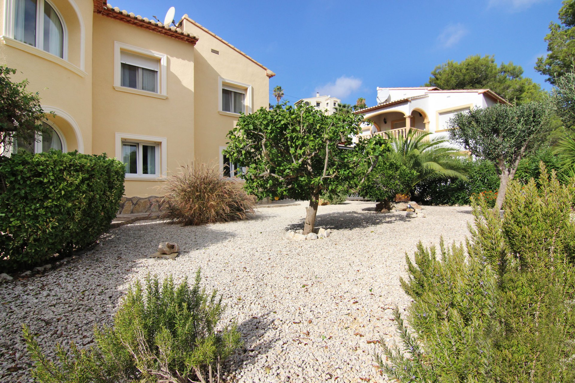 99190561257f649bd5f6190.93013783_1920