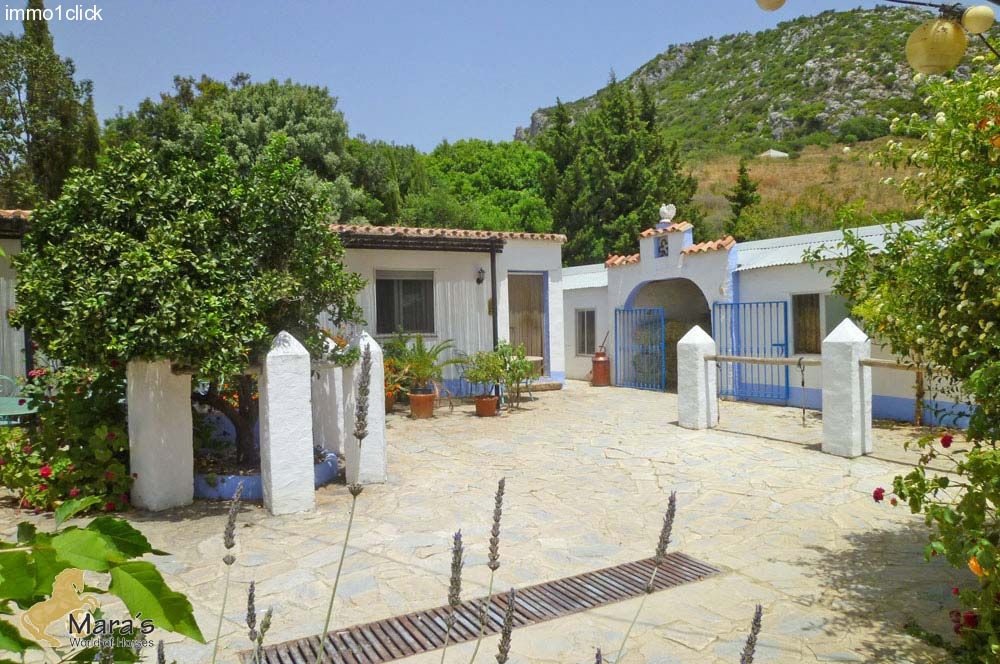Great apartments and horse stable near Estepona, Costa del Sol.