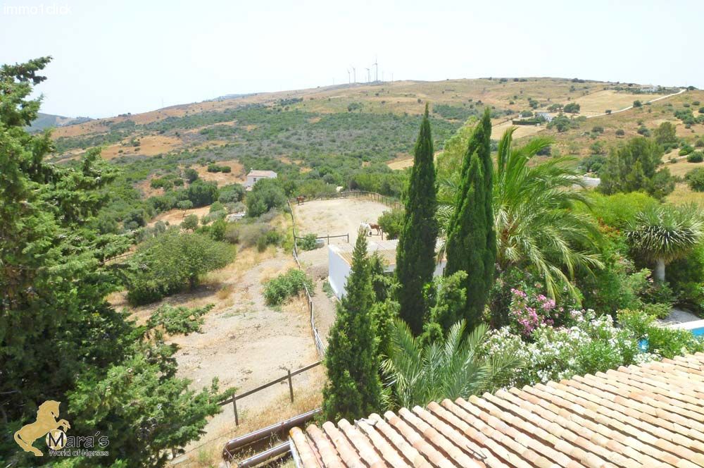 Great apartments and horse stable near Estepona, Costa del Sol.