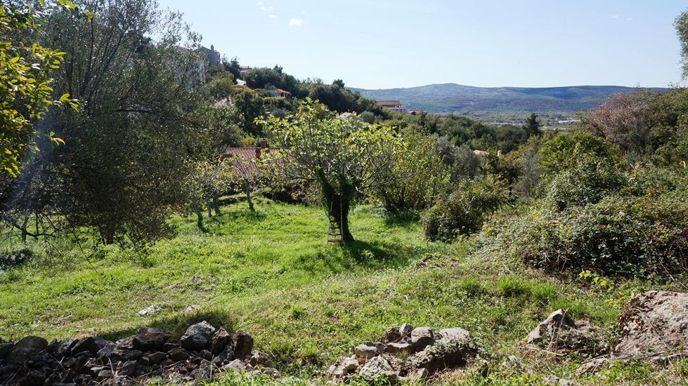Urbanized land in the village of Kavac