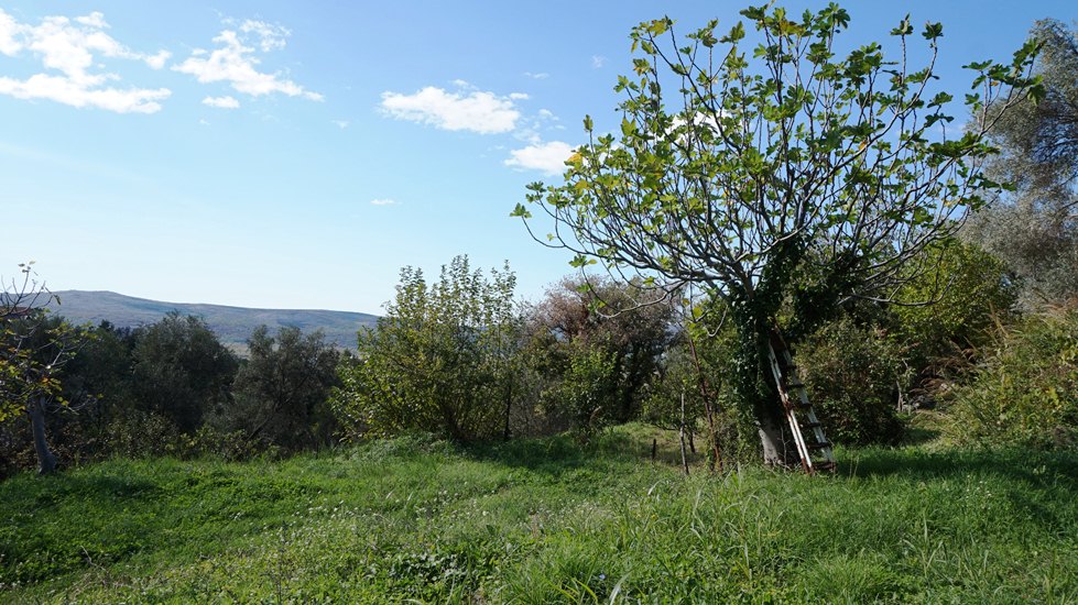 Urbanized land in the village of Kavac