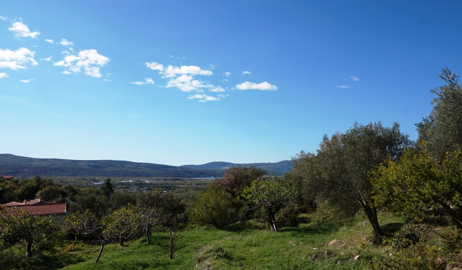 Urbanized land in the village of Kavac