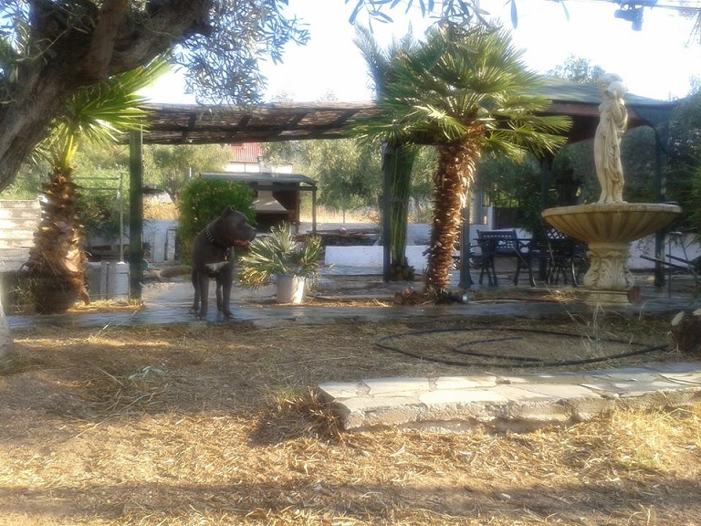 House at Nea Peramos, Attica