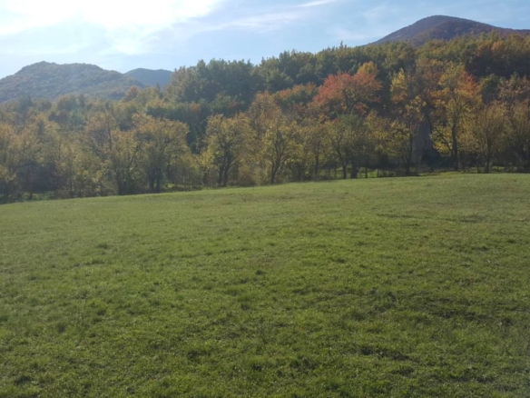Land in beautiful countryside with house