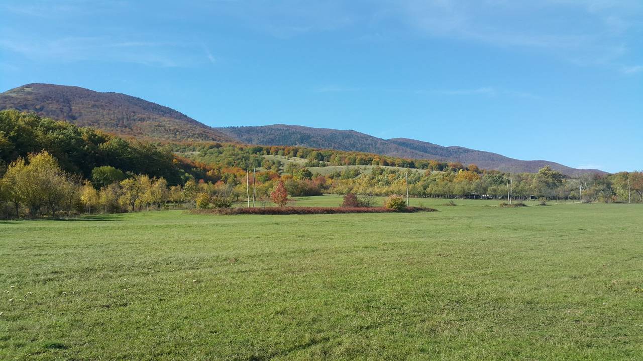 IMG-32e2ca7c6d4f00fd30cda1224cb3a29f-V