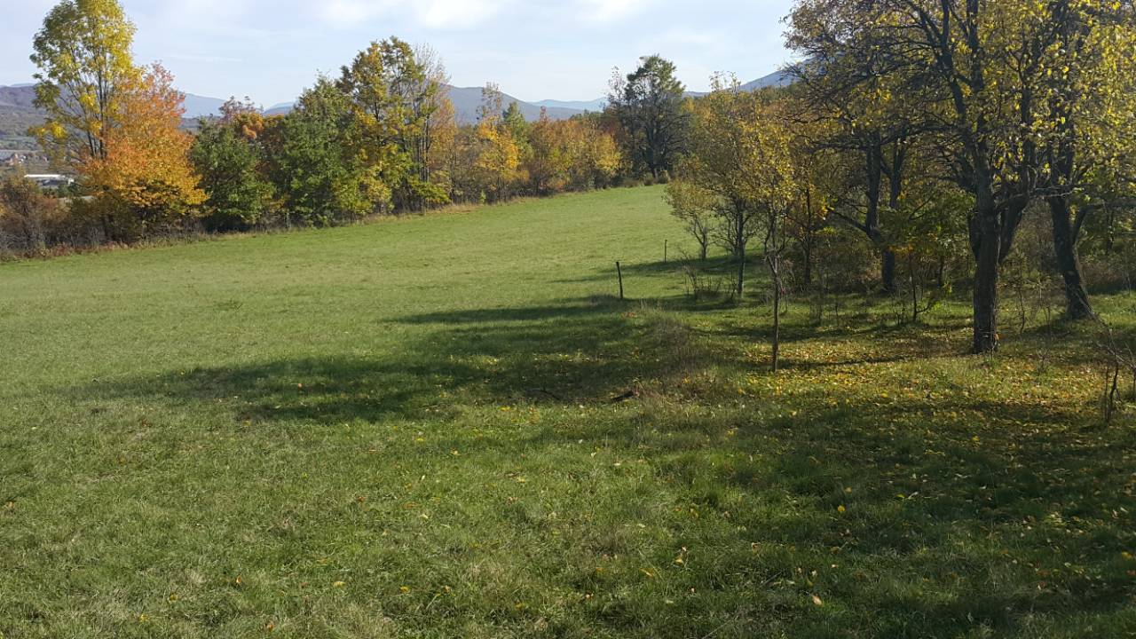 IMG-7135e940797b792a0333ce51ed7864a9-V