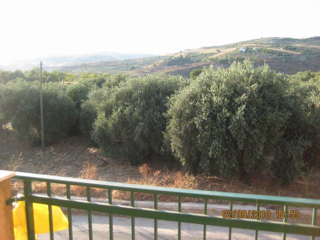 Villa and land in Sicily – Villa Taglialavore Cda Zaccurafa
