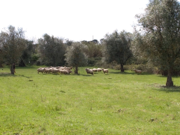 QUINTA DOS CAVALEIROS