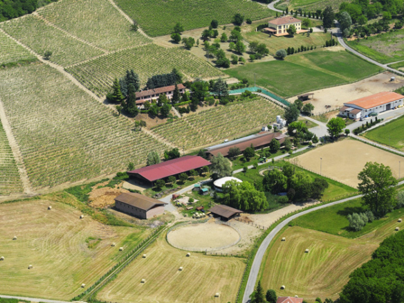 A winery in the province of Piedmont.