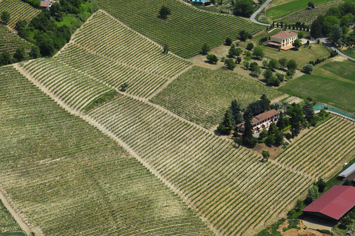 A winery in the province of Piedmont.