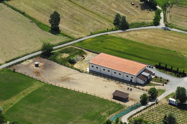A winery in the province of Piedmont.
