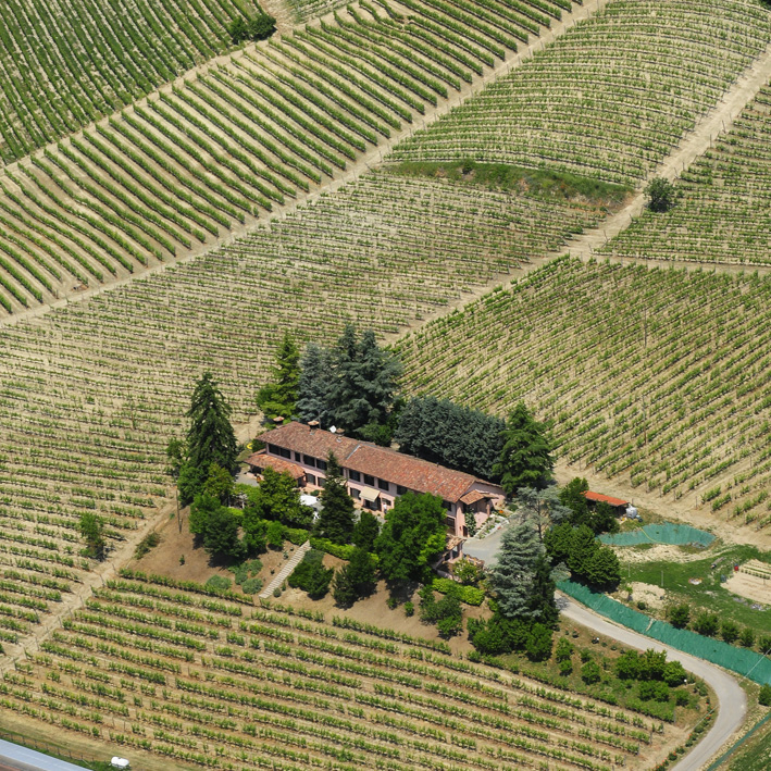 A winery in the province of Piedmont.