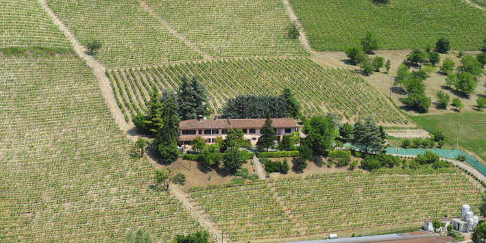 A winery in the province of Piedmont.