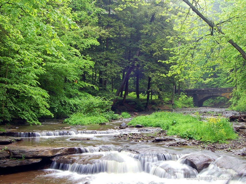 Mountain land on the river